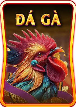 Du88 đá gà banner