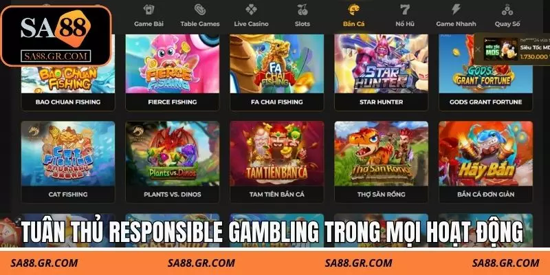 Tuân thủ responsible gambling trong mọi hoạt động Tuân thủ responsible gambling trong mọi hoạt động