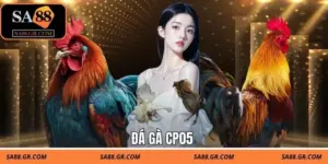 Đá Gà CP05 Tại Sa88 | Trực Tiếp 24/7, Theo Dõi Real-time