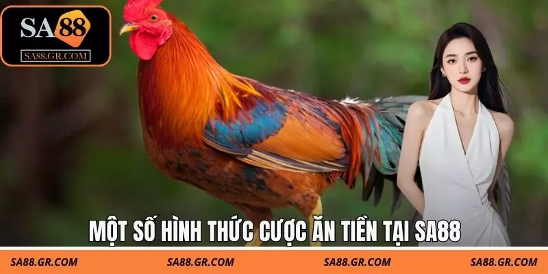 Một số hình thức cược ăn tiền tại SA88