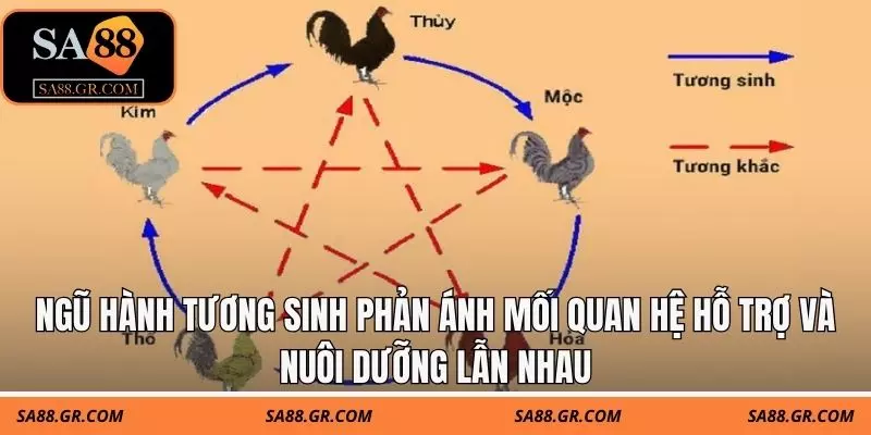 Ngũ hành tương sinh phản ánh mối quan hệ hỗ trợ và nuôi dưỡng lẫn nhau