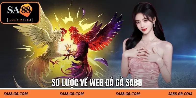 Sơ lược về web đá gà SA88 Sơ lược về web đá gà SA88